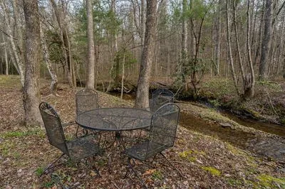 1132 Hells Hollow Road Blue Ridge, GA 30513