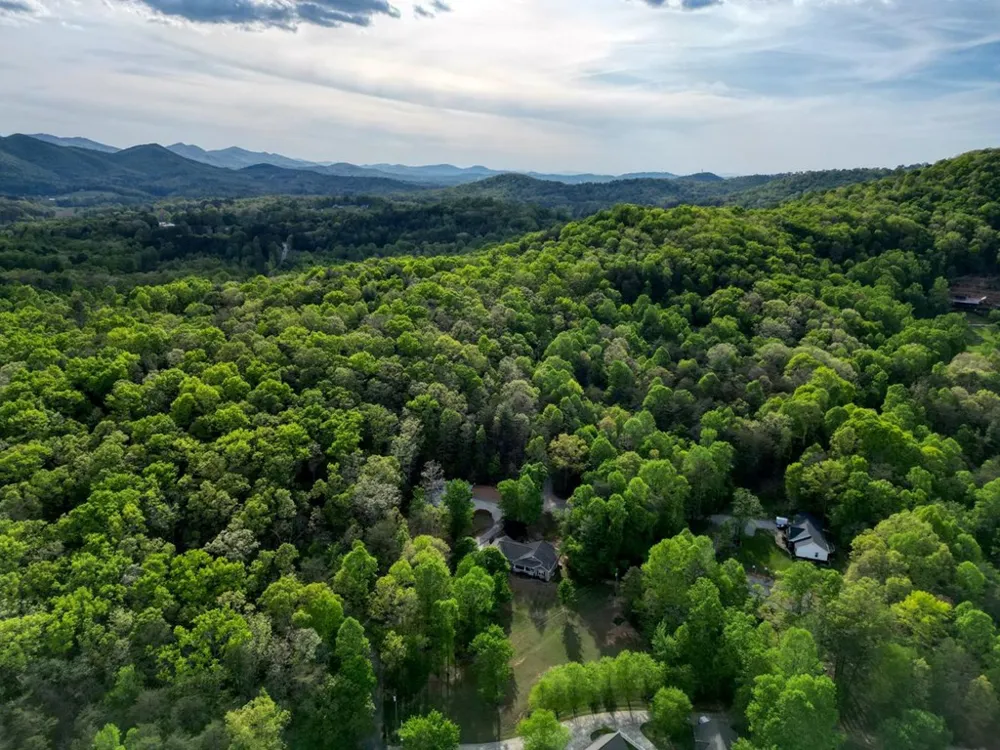 78 Bells Hollow Blairsville, GA 30512