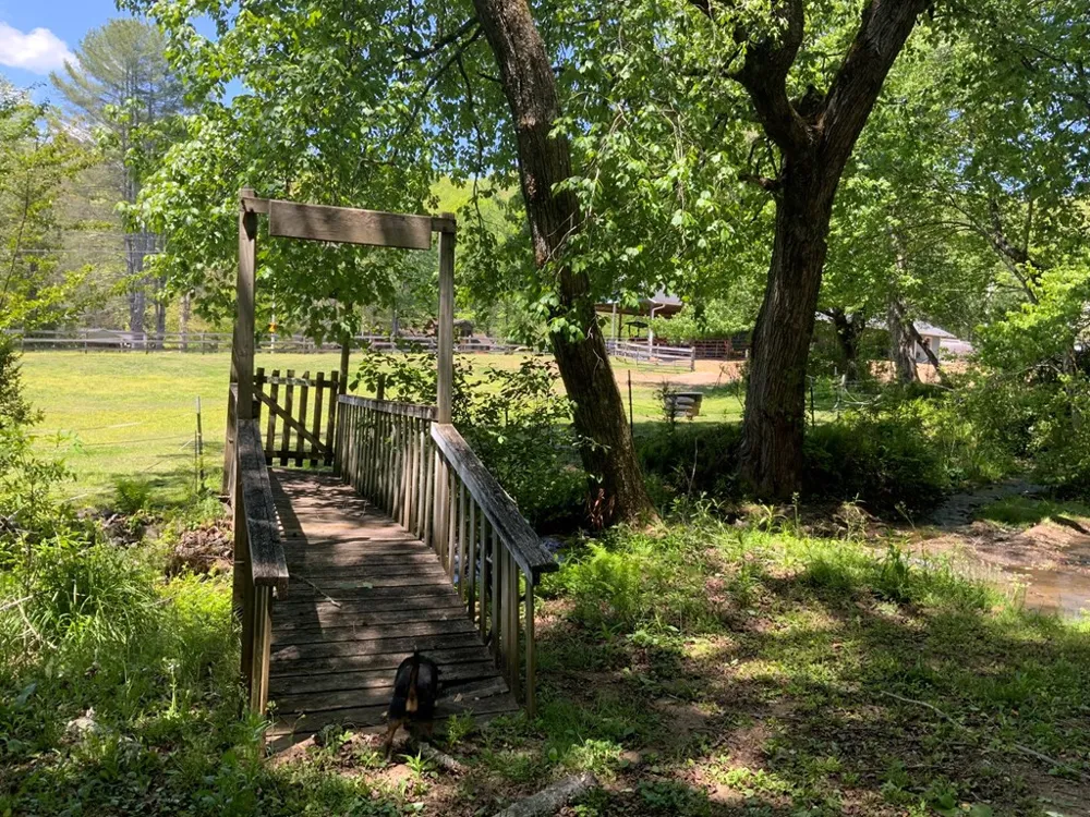 136 Gibson Road Andrews, NC 28901