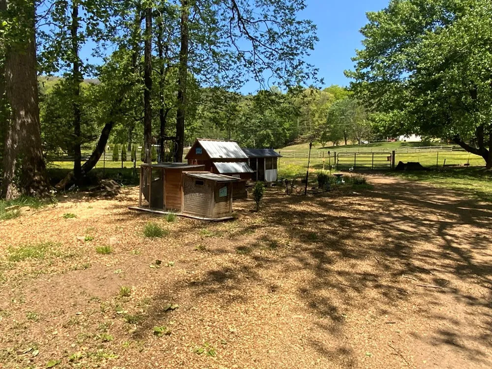 136 Gibson Road Andrews, NC 28901