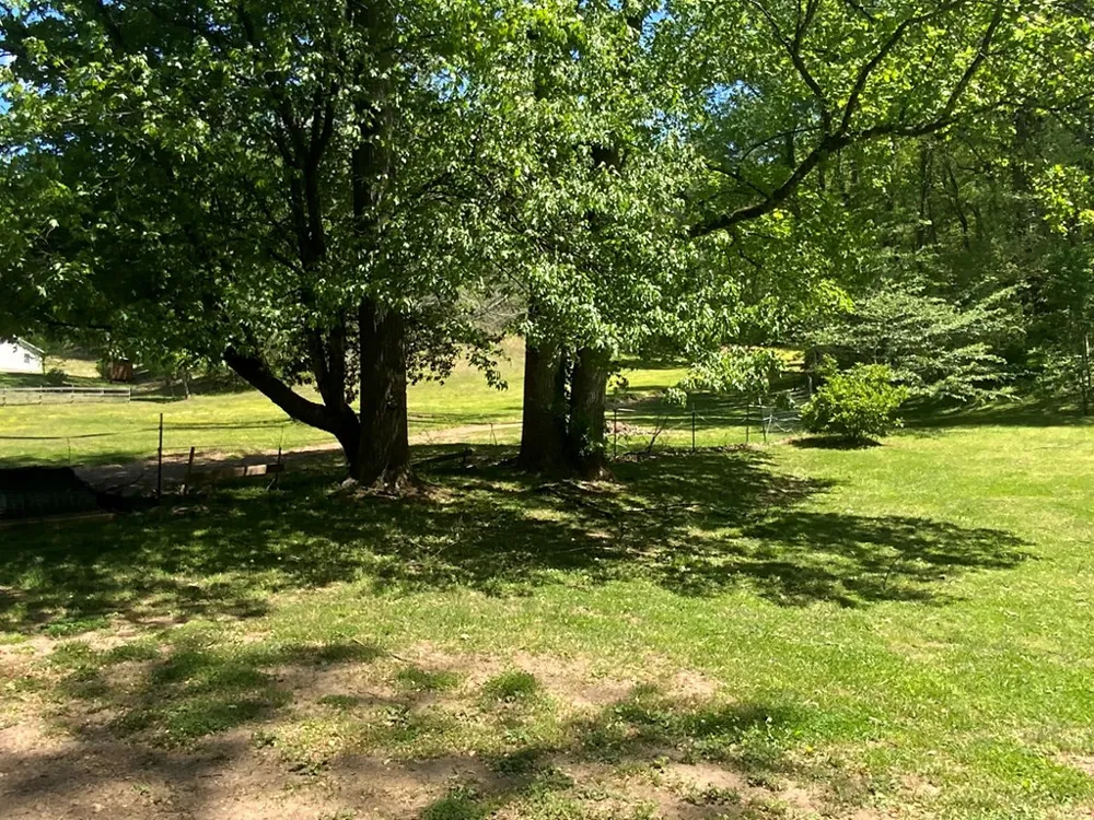 136 Gibson Road Andrews, NC 28901