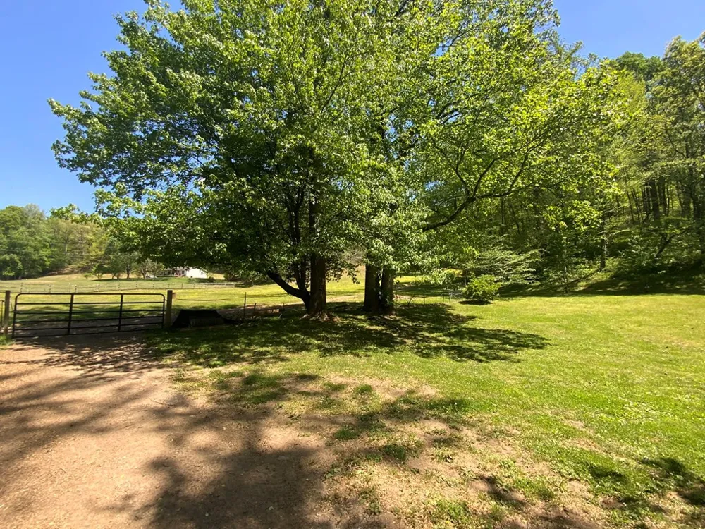 136 Gibson Road Andrews, NC 28901