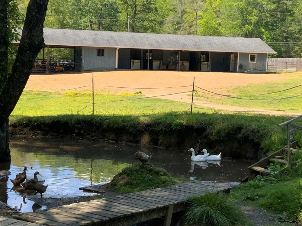 136 Gibson Road Andrews, NC 28901
