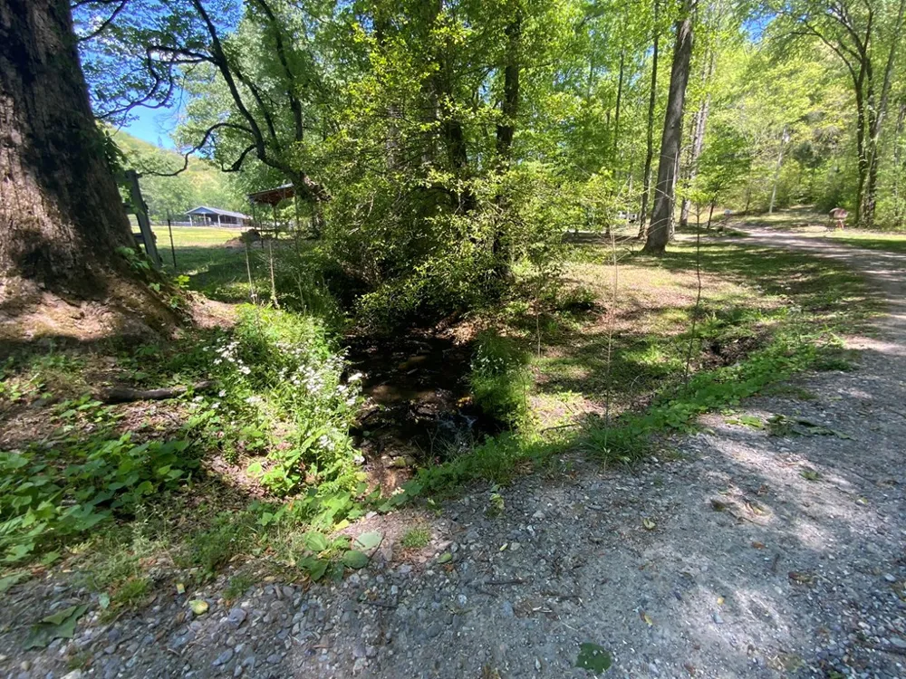 136 Gibson Road Andrews, NC 28901