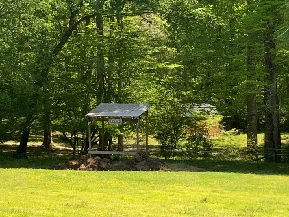 136 Gibson Road Andrews, NC 28901