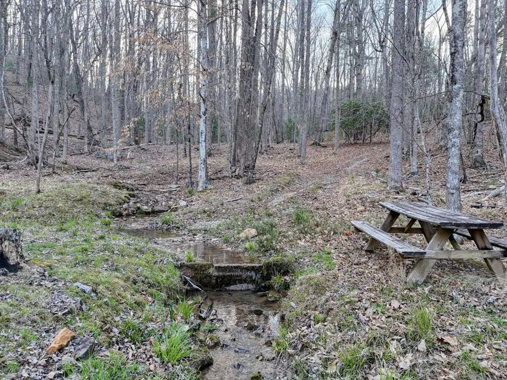 633 Timber Ridge Road Blairsville, GA 30512