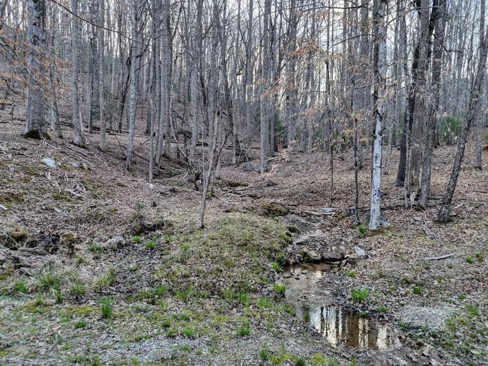 633 Timber Ridge Road Blairsville, GA 30512