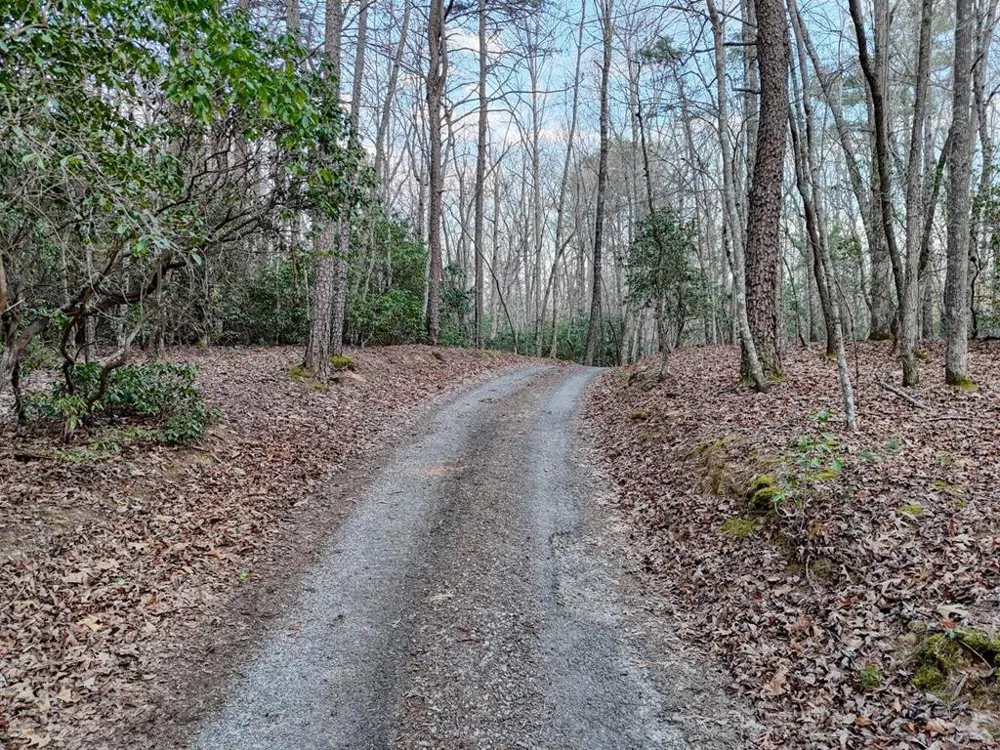 633 Timber Ridge Road Blairsville, GA 30512