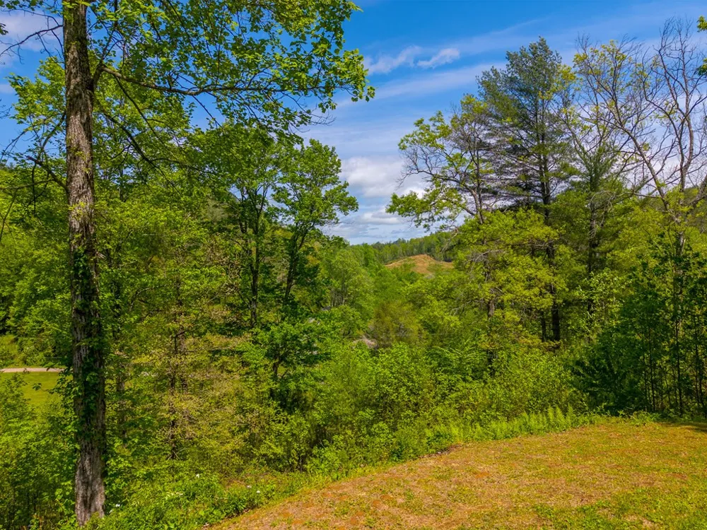 1364 Atoah Road Robbinsville, NC 28771