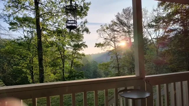 1364 Atoah Road Robbinsville, NC 28771