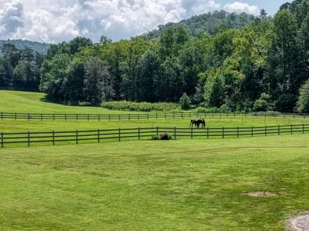 186 Rice Landing Court Hayesville, NC 28904