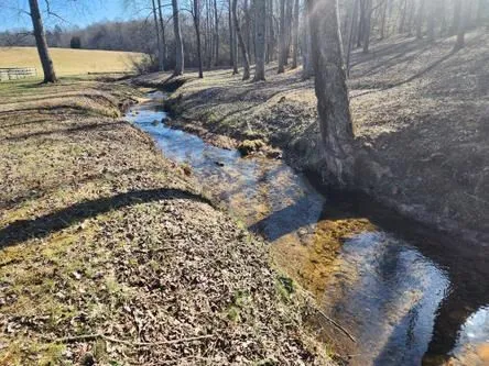 186 Rice Landing Court Hayesville, NC 28904