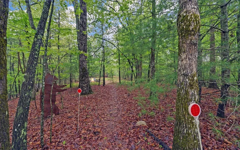 100 Carvers View Trail Murphy, NC 28906