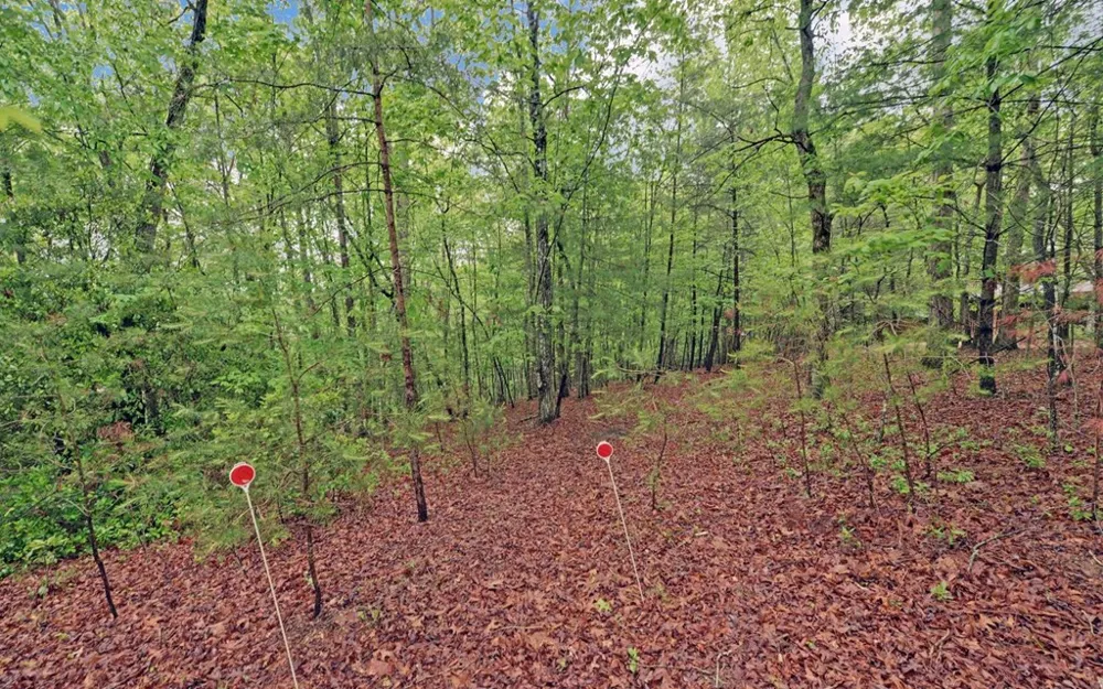 100 Carvers View Trail Murphy, NC 28906