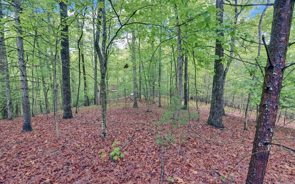 100 Carvers View Trail Murphy, NC 28906