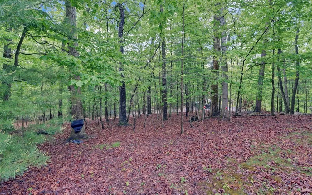 100 Carvers View Trail Murphy, NC 28906