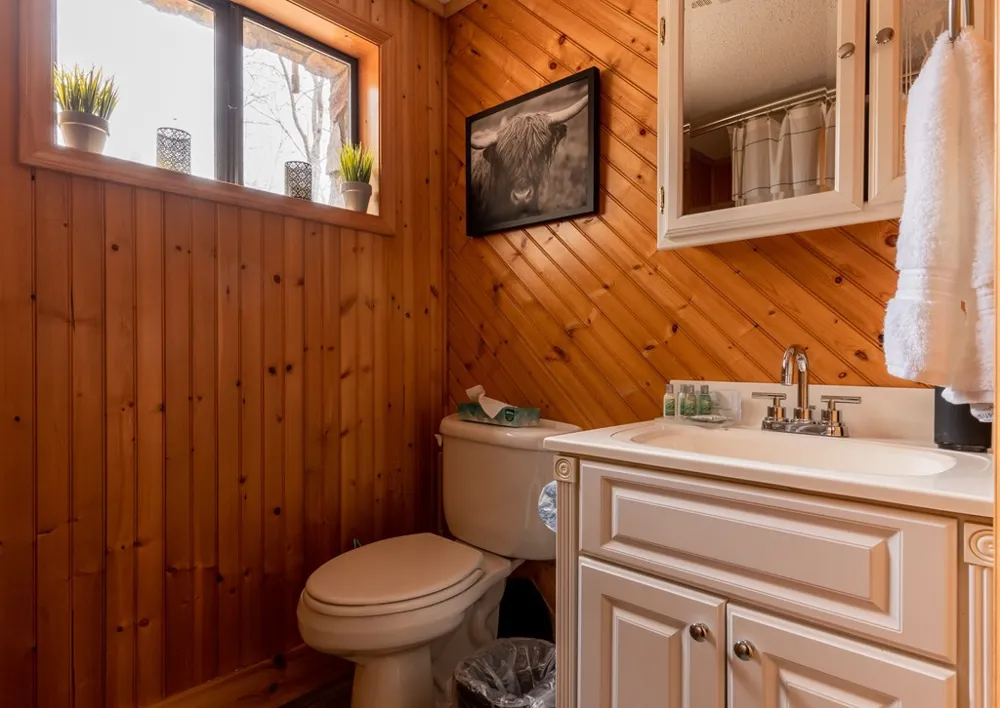 119 Rhododenron Topton, NC 28781