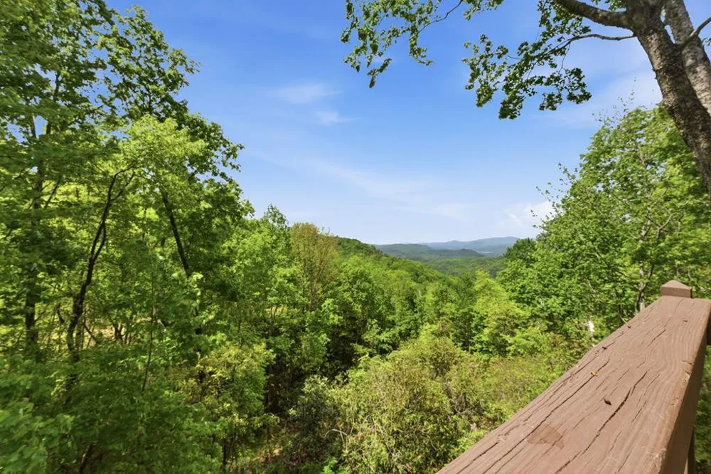 231 Ridge View Drive Andrews, NC 28901