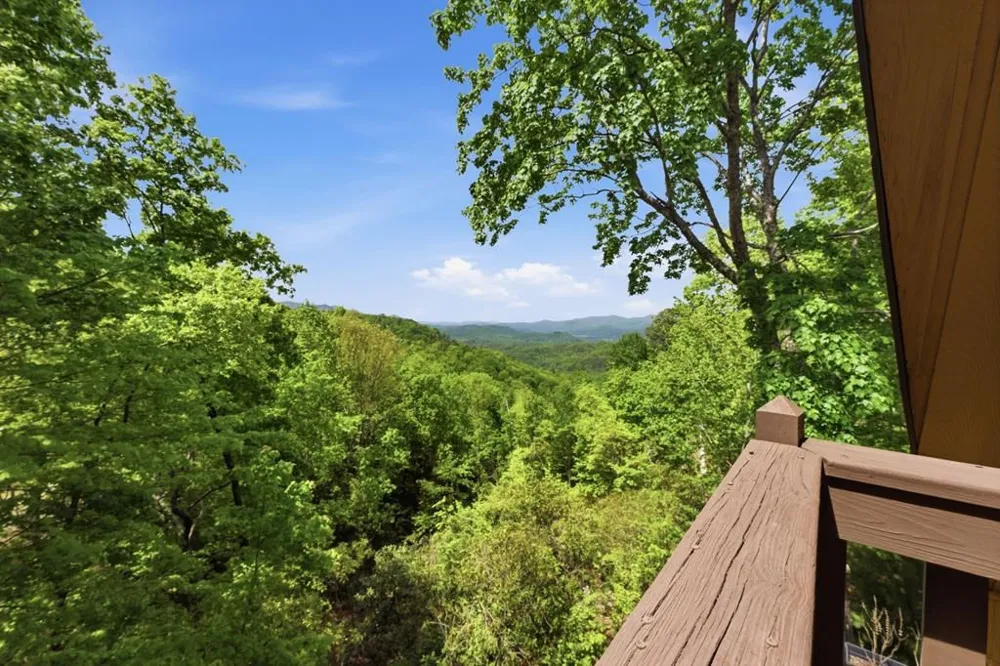 231 Ridge View Drive Andrews, NC 28901