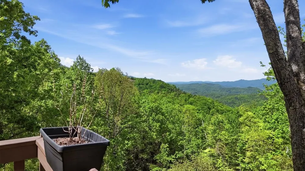 231 Ridge View Drive Andrews, NC 28901