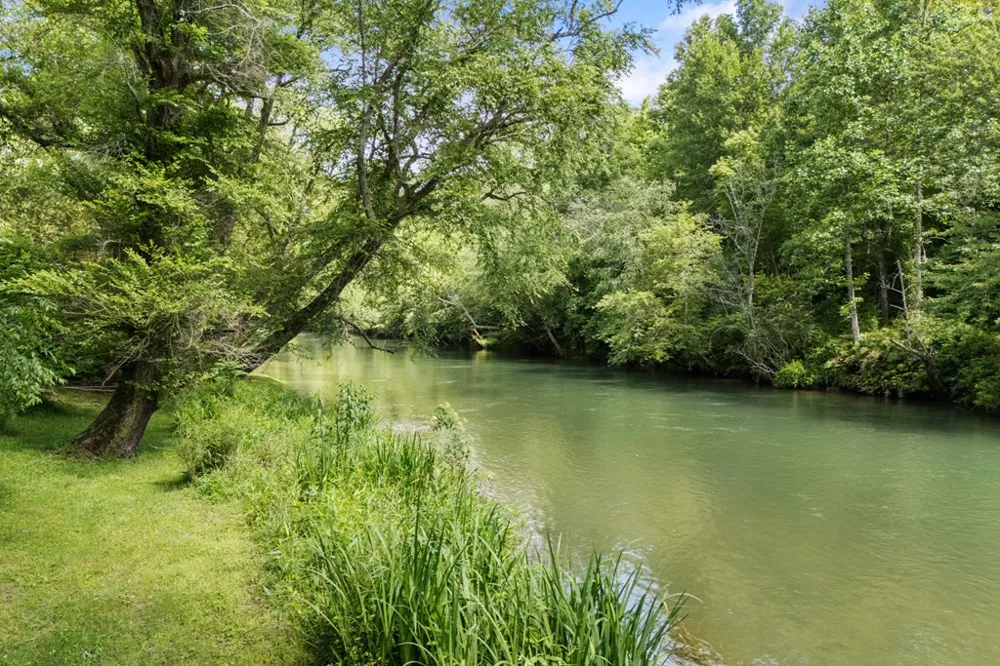 76 Misty River Lane Hayesville, NC 28904