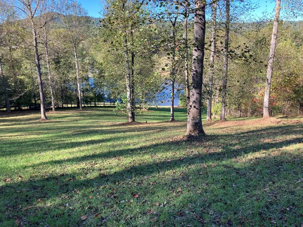 121 White Oak Drive Warne, NC 28909