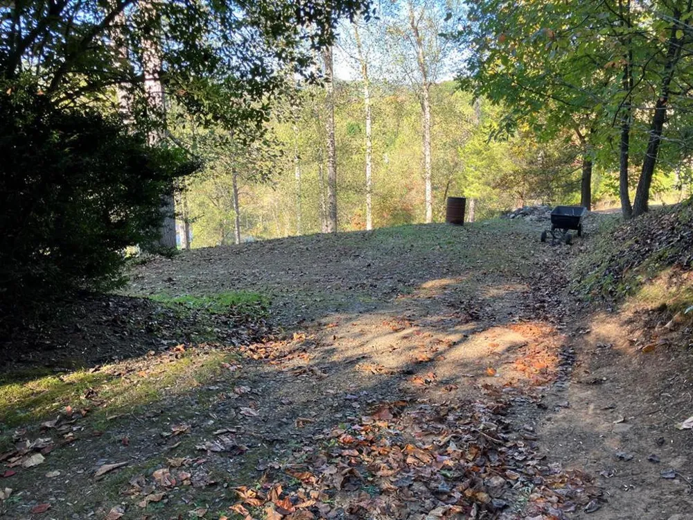 121 White Oak Drive Warne, NC 28909