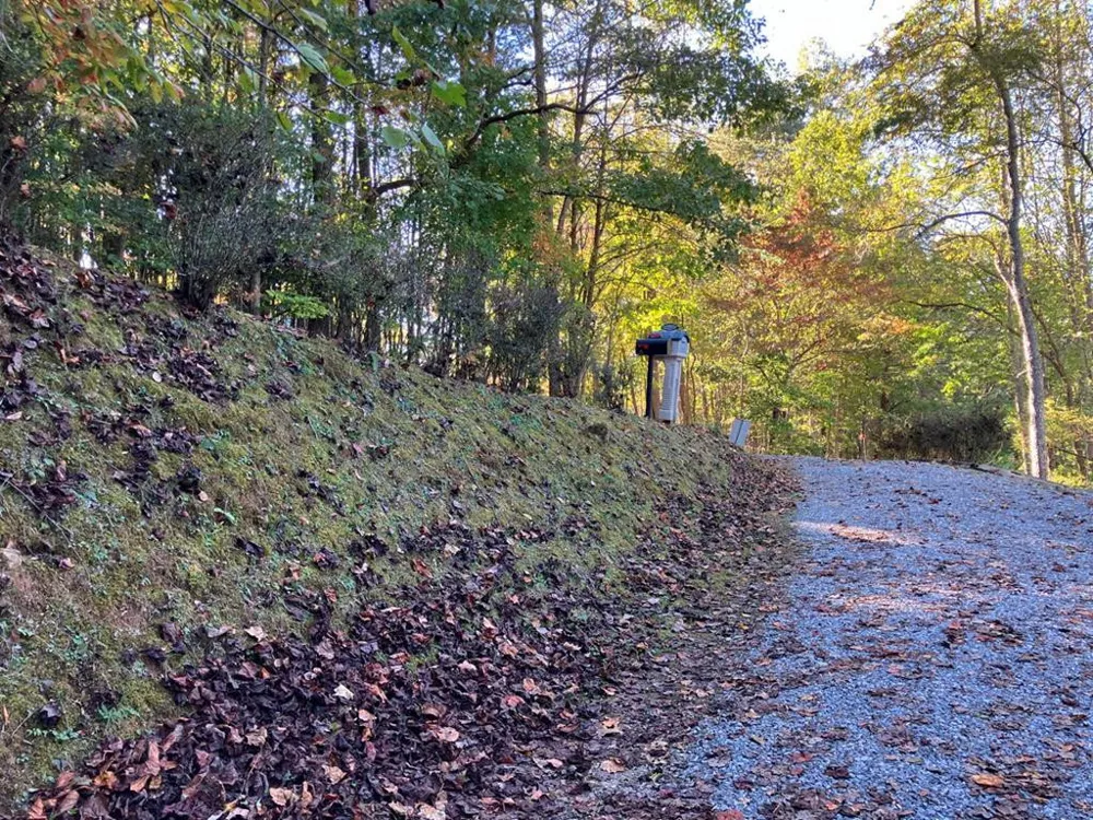 121 White Oak Drive Warne, NC 28909