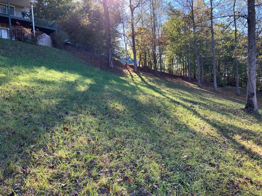 121 White Oak Drive Warne, NC 28909