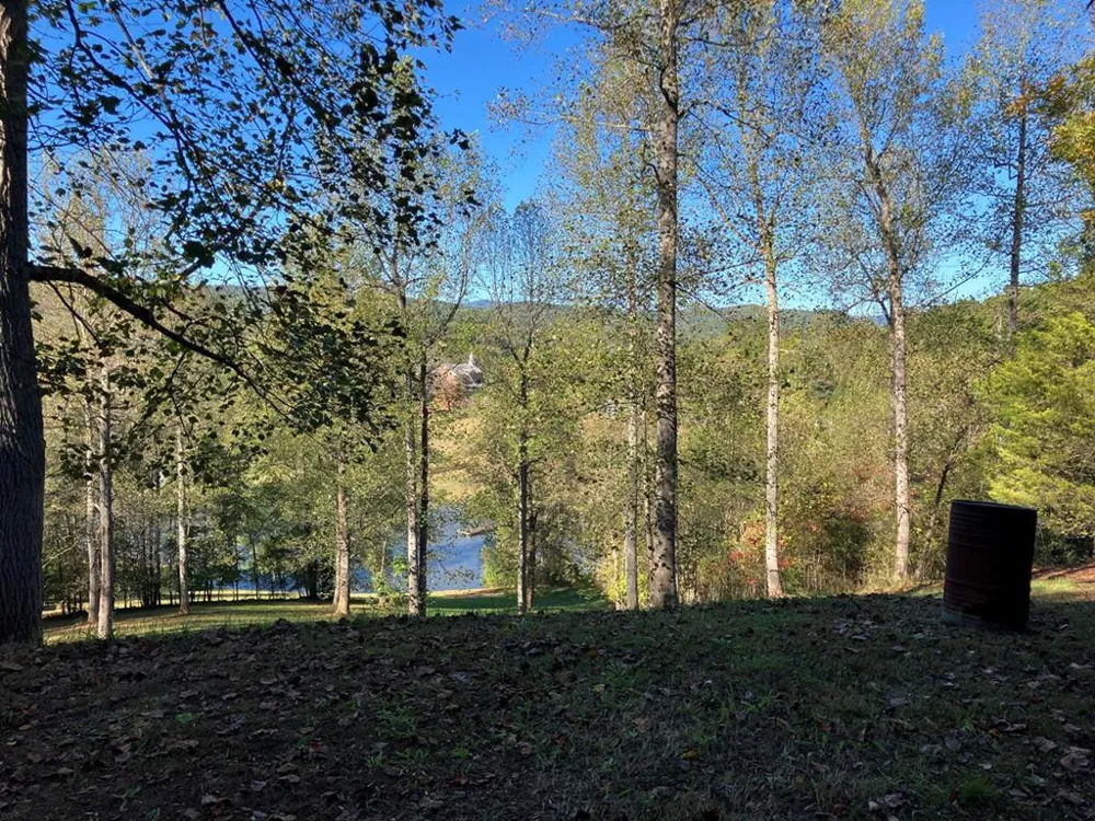 121 White Oak Drive Warne, NC 28909