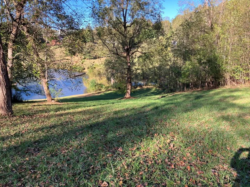 121 White Oak Drive Warne, NC 28909
