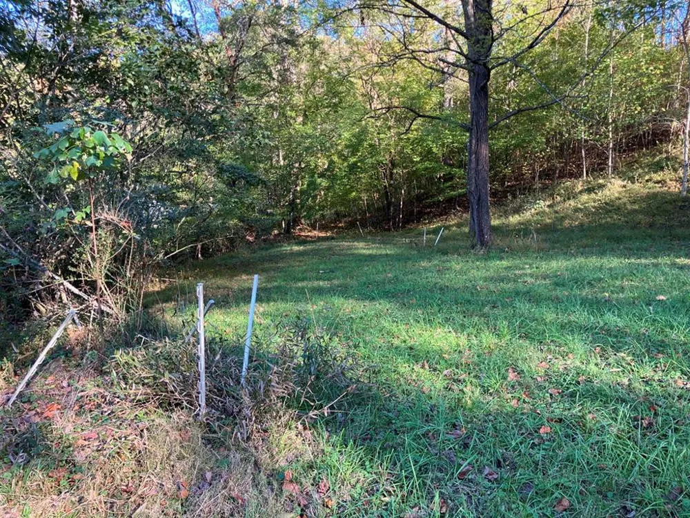 121 White Oak Drive Warne, NC 28909