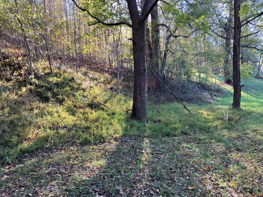 121 White Oak Drive Warne, NC 28909