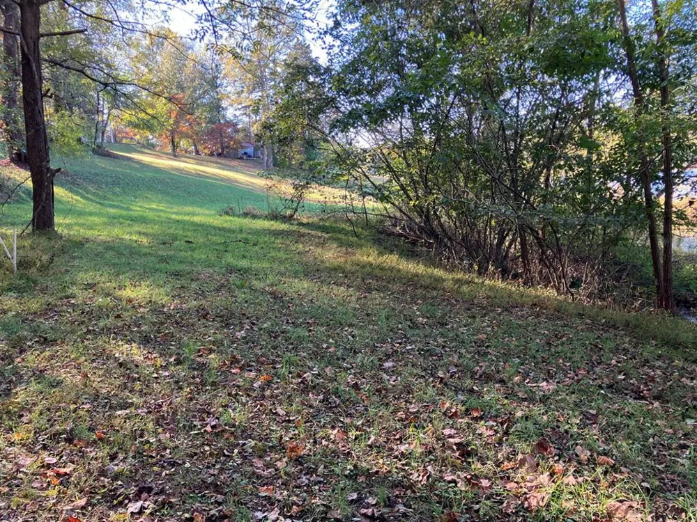 121 White Oak Drive Warne, NC 28909