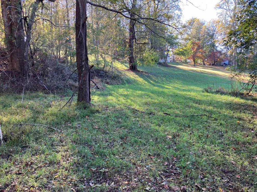121 White Oak Drive Warne, NC 28909