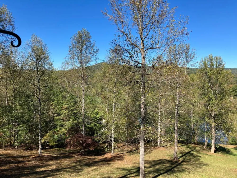 121 White Oak Drive Warne, NC 28909
