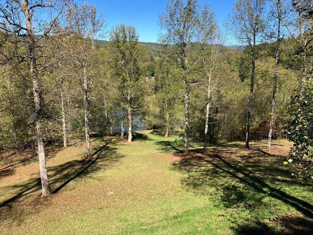 121 White Oak Drive Warne, NC 28909