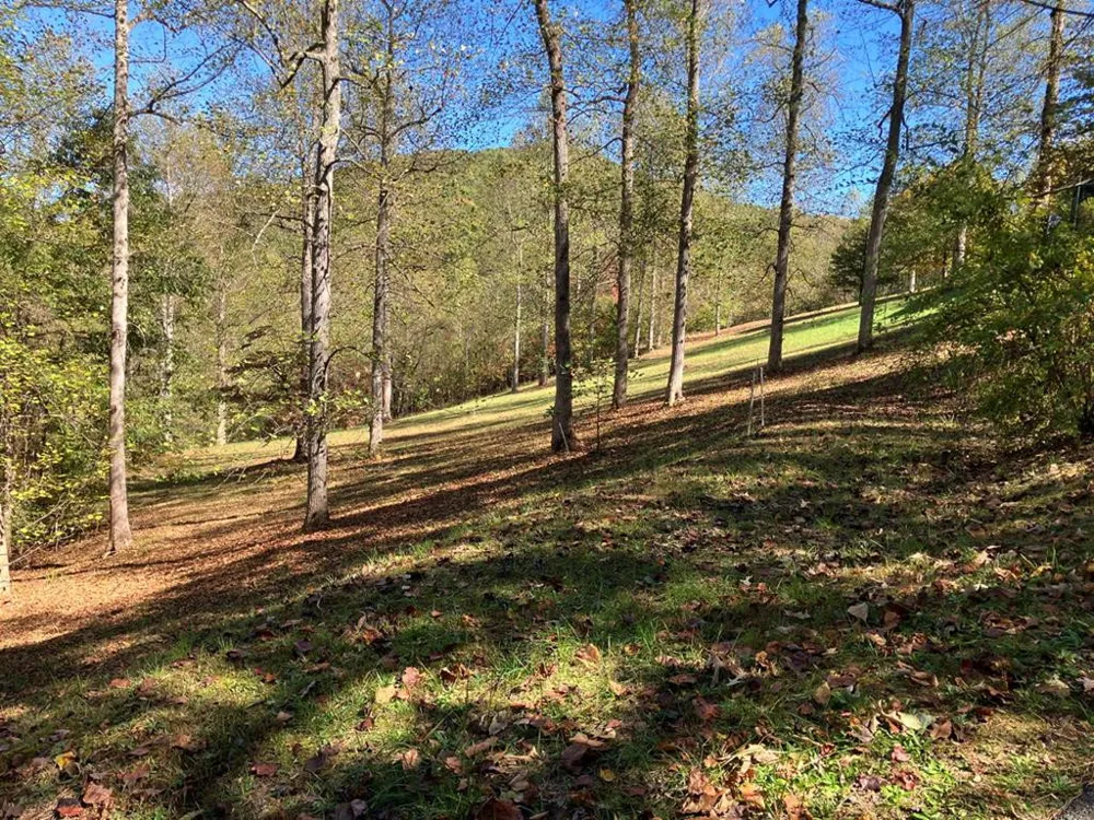 121 White Oak Drive Warne, NC 28909