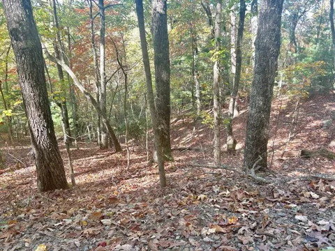 Lot 4 Ridgeline
