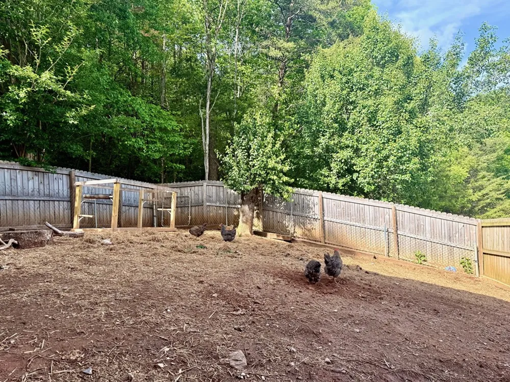 876 Gibson Hill Road Hiawassee, GA 30546
