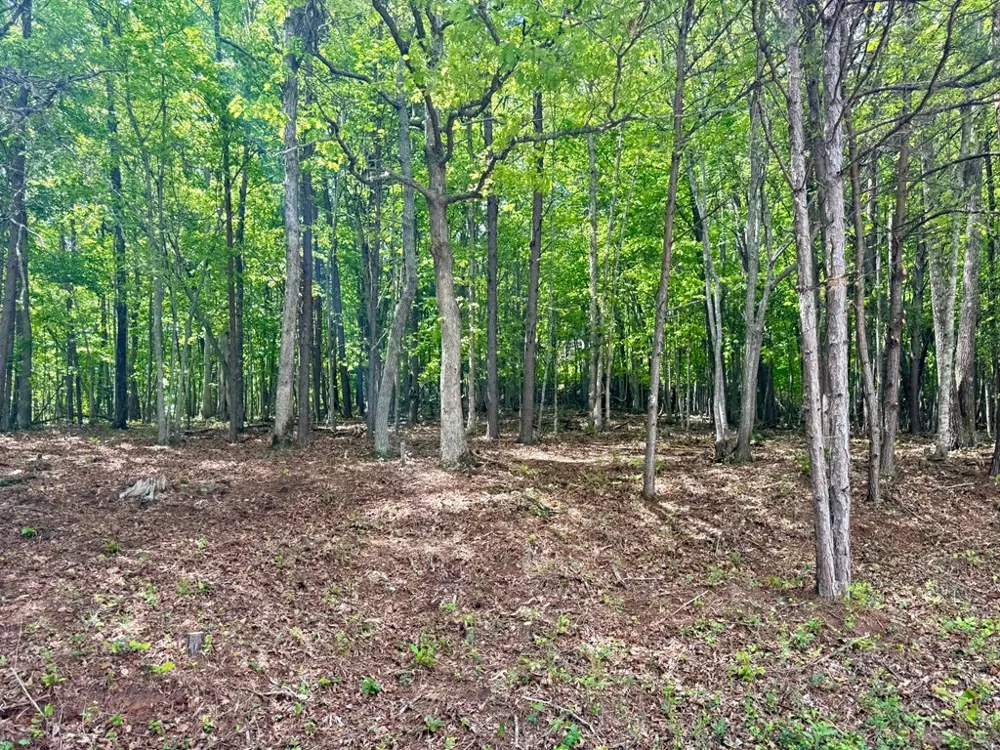 876 Gibson Hill Road Hiawassee, GA 30546