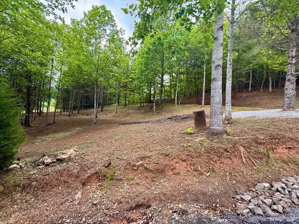 876 Gibson Hill Road Hiawassee, GA 30546