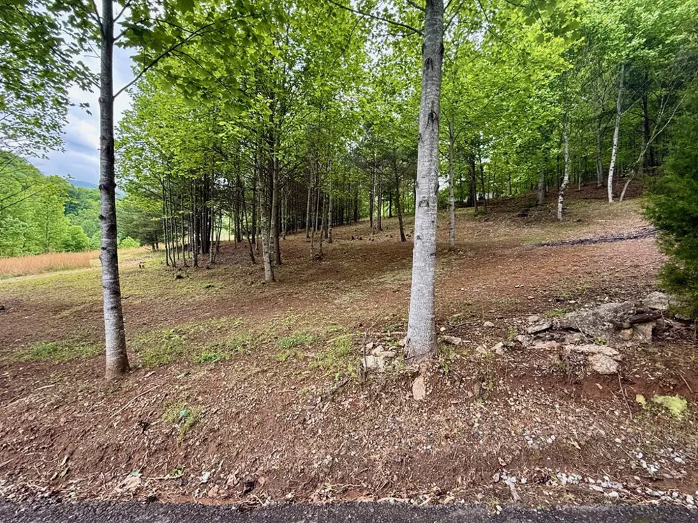 876 Gibson Hill Road Hiawassee, GA 30546