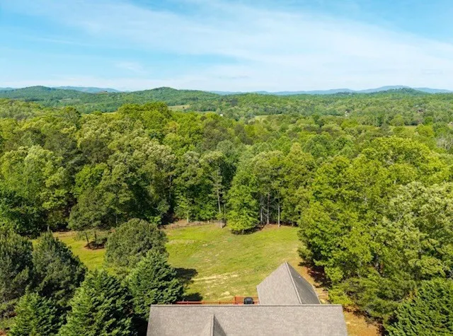 178 Windy Valley Lane Blue Ridge, GA 30513