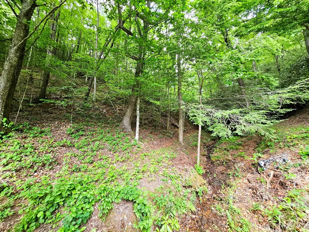 45 Sulpher Lane Andrews, NC 28901