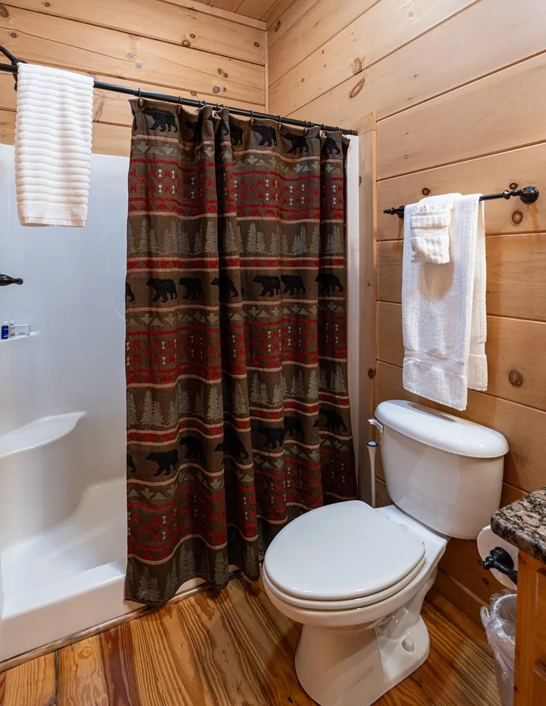 94 Bear Creek Cove Topton, NC 28781