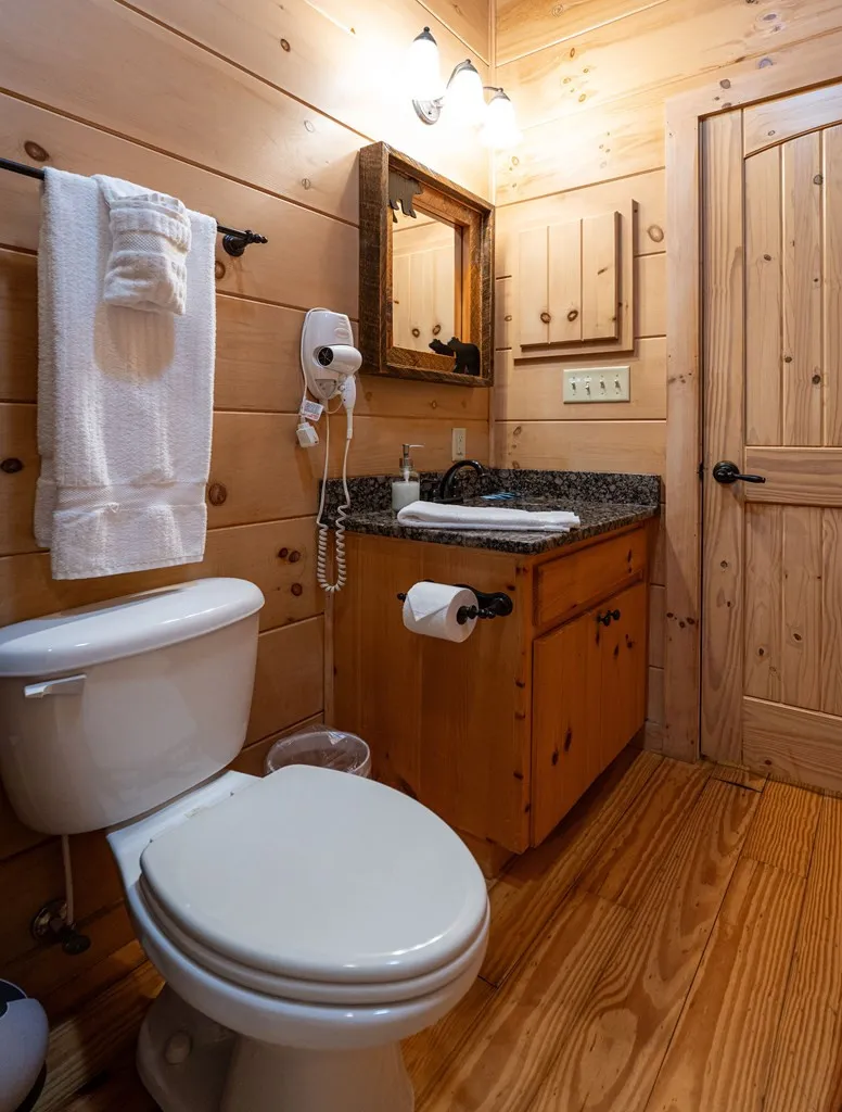 94 Bear Creek Cove Topton, NC 28781
