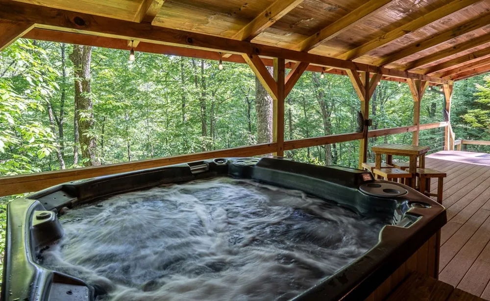 94 Bear Creek Cove Topton, NC 28781