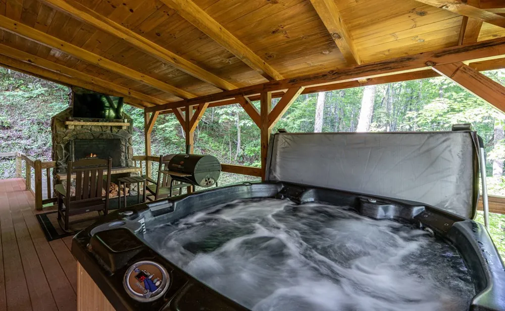 94 Bear Creek Cove Topton, NC 28781