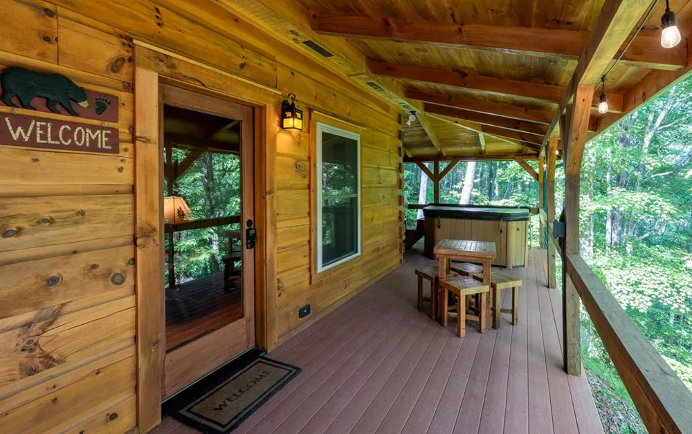 94 Bear Creek Cove Topton, NC 28781